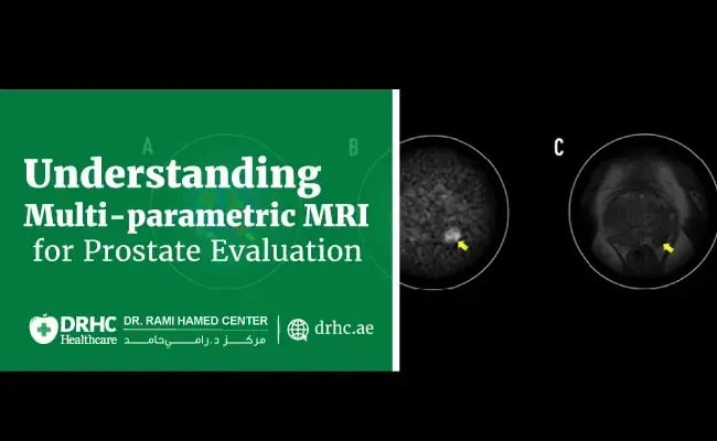 Understanding Multi-parametric MRI for Prostate Evaluation
