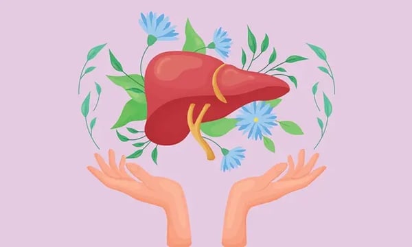 Milk Thistle for Fatty Liver:
