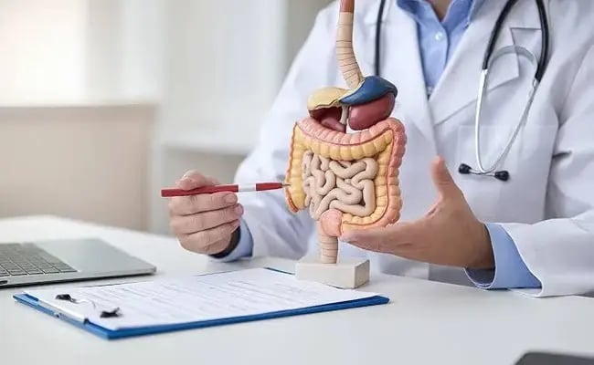 Stomach Pain That Does Not Go Away: Could Gastroscopy Find the Cause?