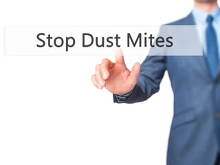 How to get rid of dust mites