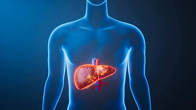 How Often Should Fatty Liver Be Monitored?