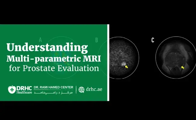 Understanding Multi-parametric MRI for Prostate Evaluation