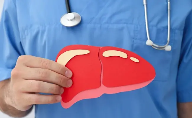 Normal ALT and AST but Fatty Liver? What Your Results Mean
